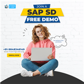 SAP SD Online Training in Hyderabad