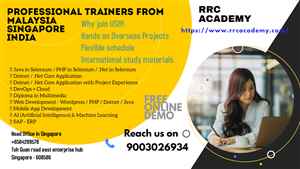 IT Training Placement all Over India