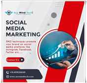 Social Media Marketing Company Offering Best Services in Delhi