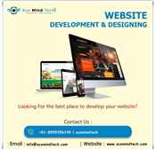 Hire A Website development Expert in Delhi