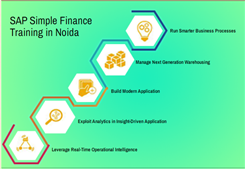 SAP Hana Finance Course in Noida SLA Accounting Classes GST and SAP FICO Training Institute