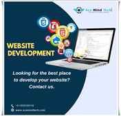 How To Get A Website development Expert in Delhi
