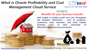 Learn Profitability and Cost Management Cloud Service PCMCS 