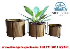 Buy From House Decorative Planter Exporters in Noida Moradabad	