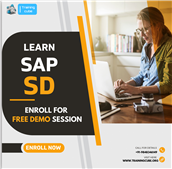 SAP Sales and Distribution online Training