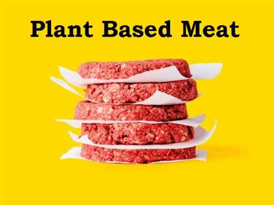Plant Based Meat  Plant Based India  Beyond Burger