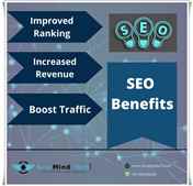 Know About Best SEO Agency in Delhi