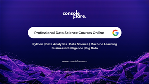 Professional Data Science Courses Online