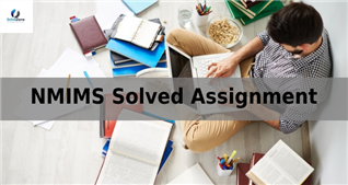  What are the best NMIMS Solved Assignment