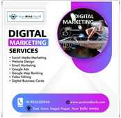 Social Media Marketing Services in Delhi By Acemind Technology