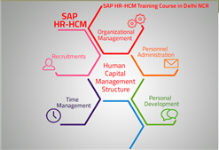 SAP HCM Training in Delhi Faridabad SLA Human Resource Institute Free HR Analytics Course HR Certification