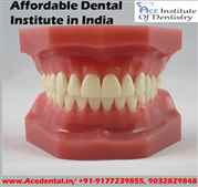 Dental Courses in India Nearme Affordable Institute 