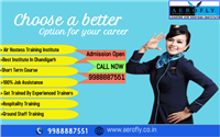 Aerofly International Aviation Academy